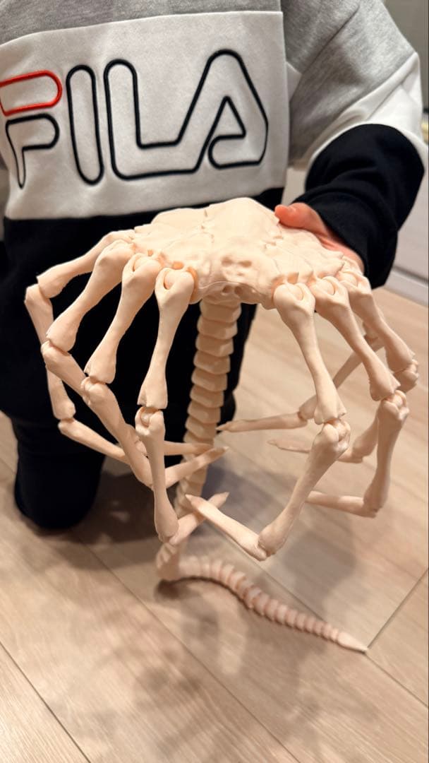 【エイリアン/Alien】可動関節式！超リアル実物大 フェイスハガー3Dプリント