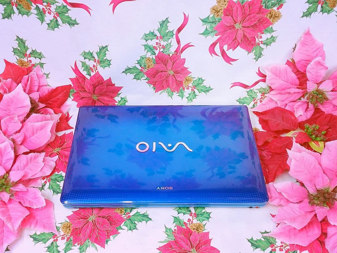 極上品超大人気/レアブルーVAIO/テレワーク可能/Core-i5/ブルーレイ