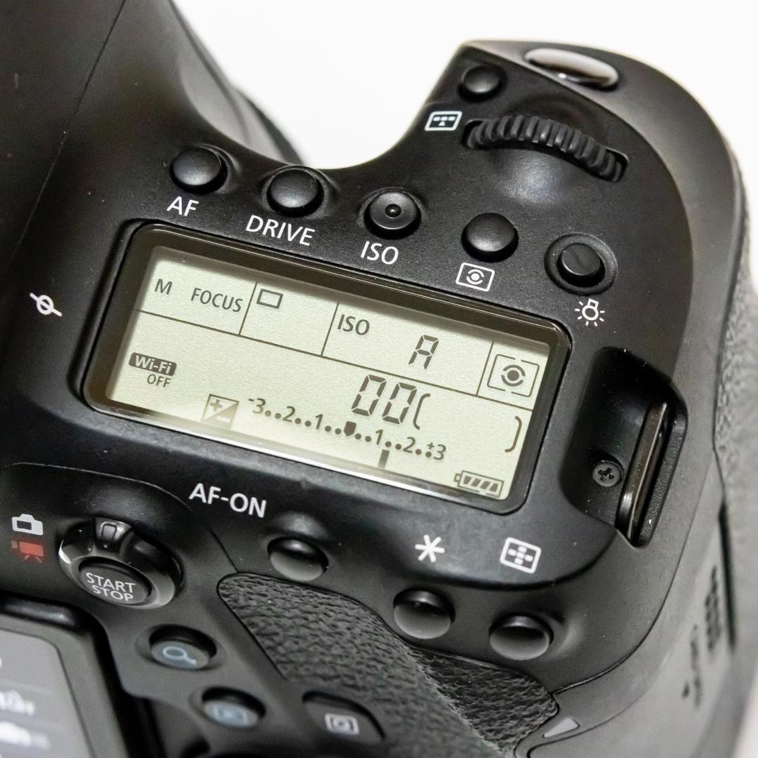 Canon キヤノン EOS 6D Mark II 本体（シャッター約1万回）
