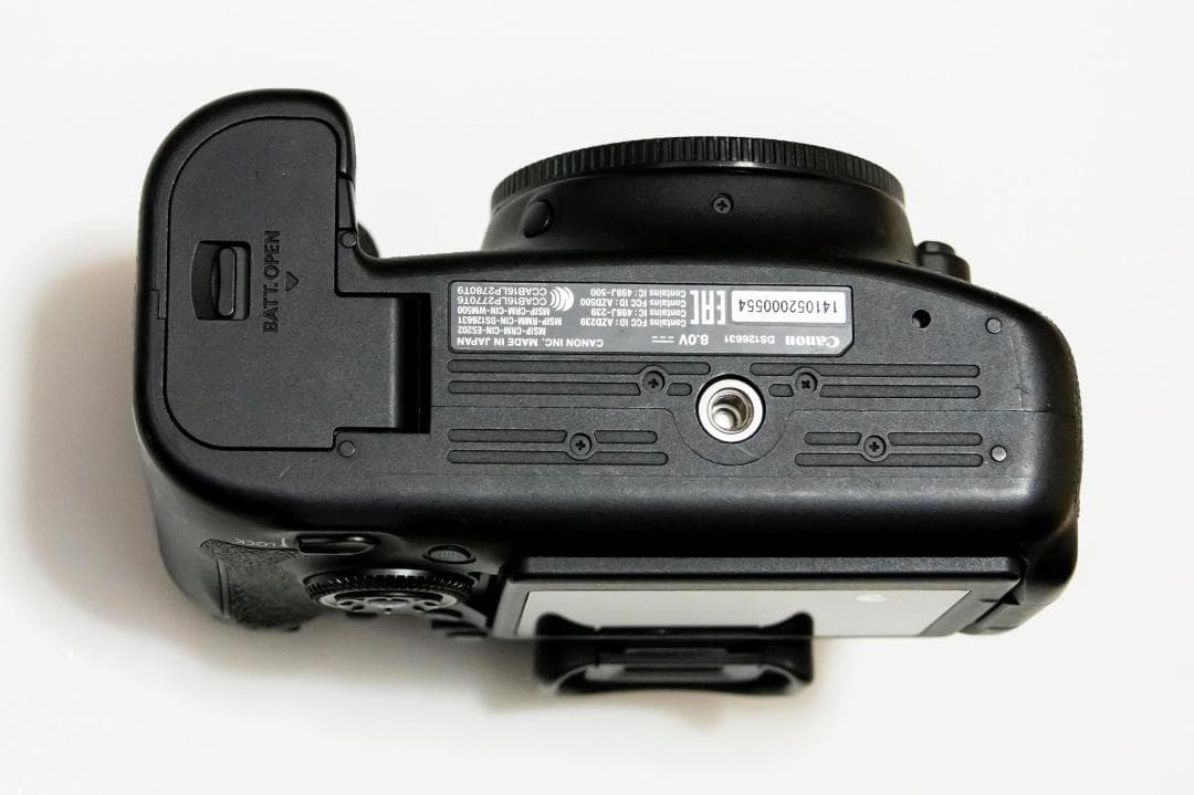 Canon キヤノン EOS 6D Mark II 本体（シャッター約1万回）