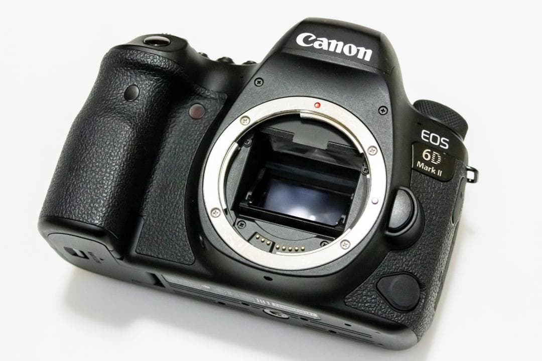 Canon キヤノン EOS 6D Mark II 本体（シャッター約1万回）