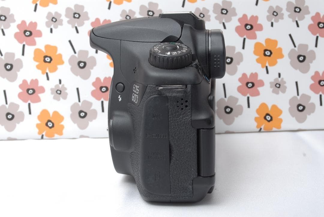 ❤Canon EOS 60D❤スマホ転送OK❤美品❤秋の行楽シーズンに❤