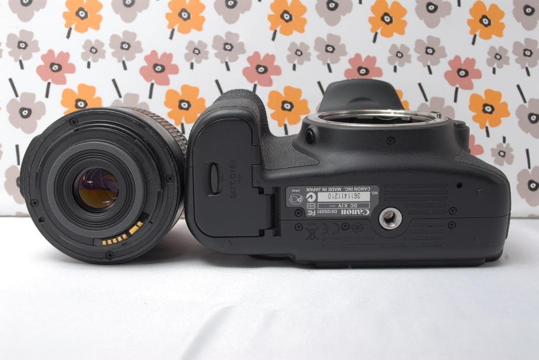 ❤Canon EOS 60D❤スマホ転送OK❤美品❤秋の行楽シーズンに❤