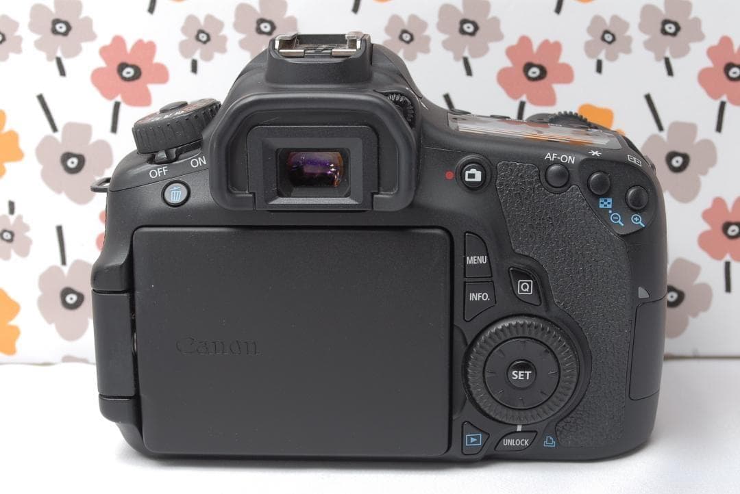 ❤Canon EOS 60D❤スマホ転送OK❤美品❤秋の行楽シーズンに❤