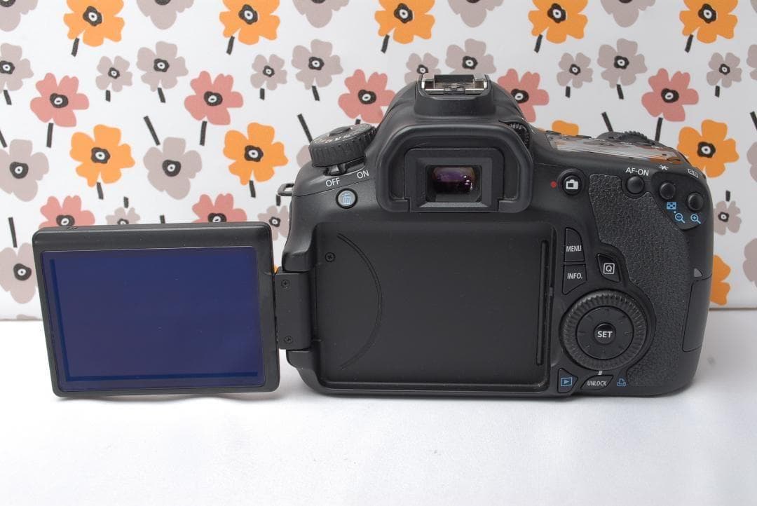 ❤Canon EOS 60D❤スマホ転送OK❤美品❤秋の行楽シーズンに❤