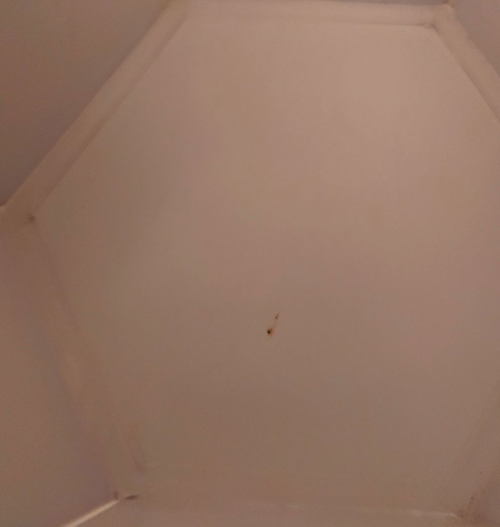 内藤ルネRUNE 六角形小物入れ デイジー 昭和レトロ ビンテージ