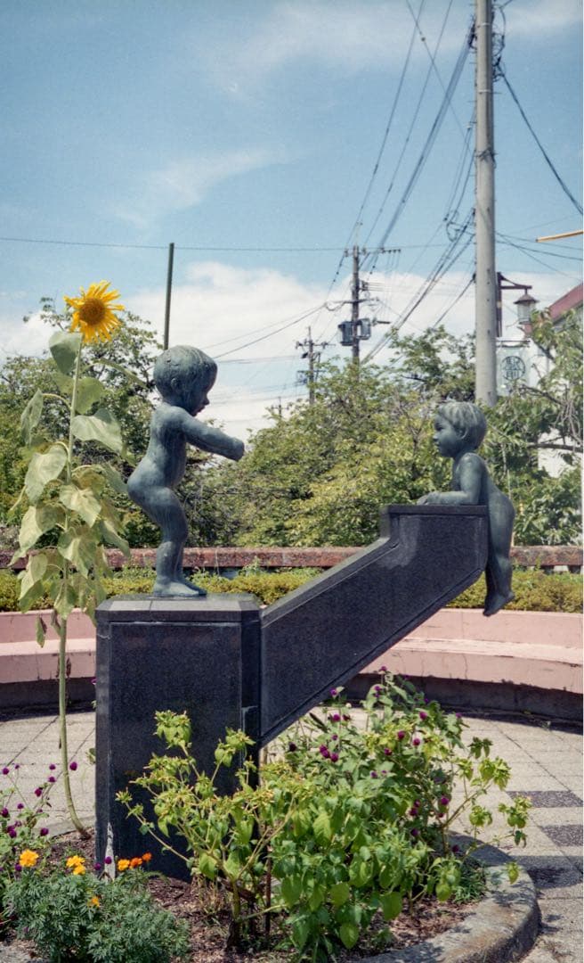 petri color 35 ペトリ カラー 現状品