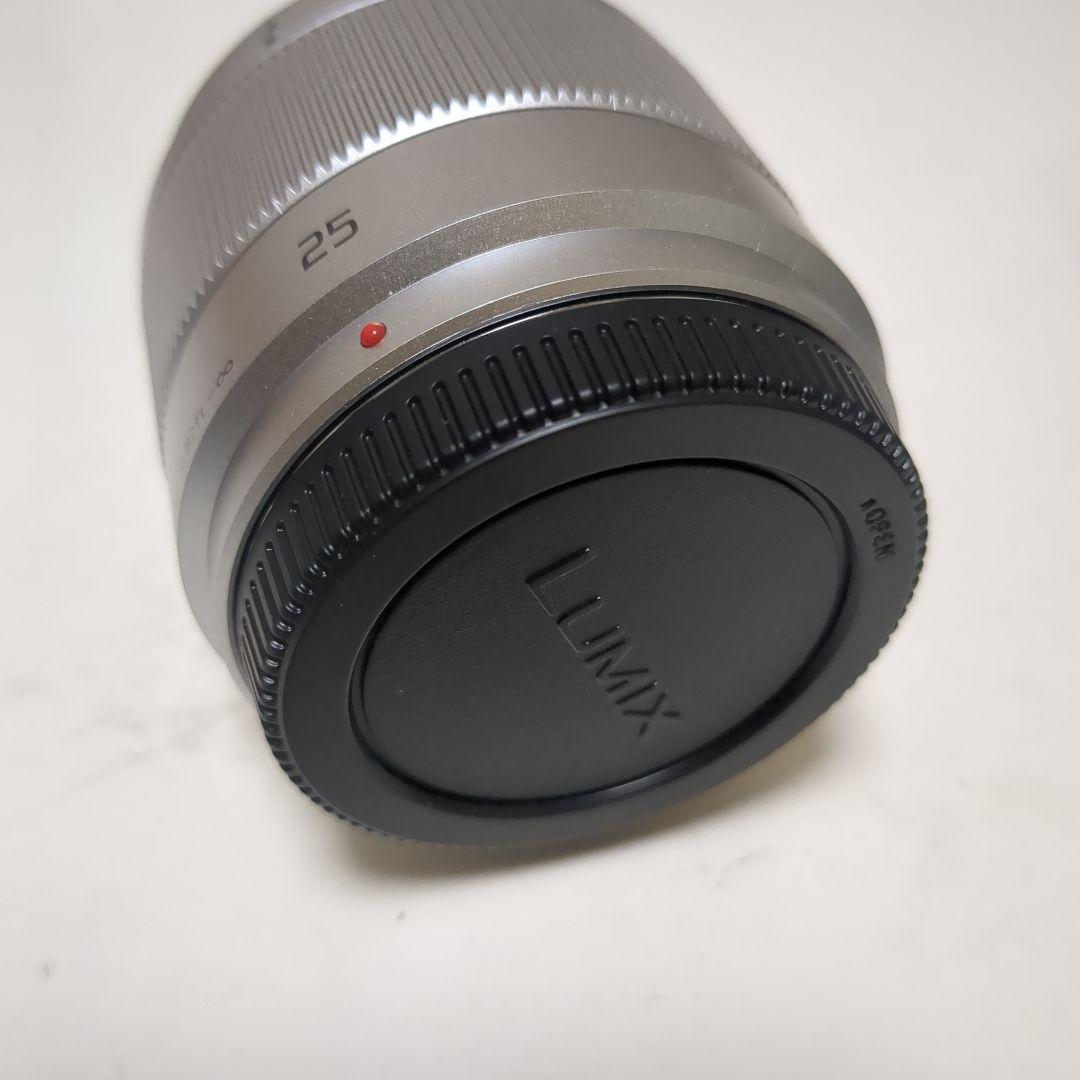 Panasonic DC-GF9W ミラーレスカメラ オレンジ　取扱説明書付き