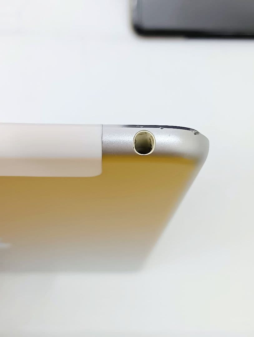 iPad mini4 579C-A1550　シルバーカラー/シリコンカバー付き