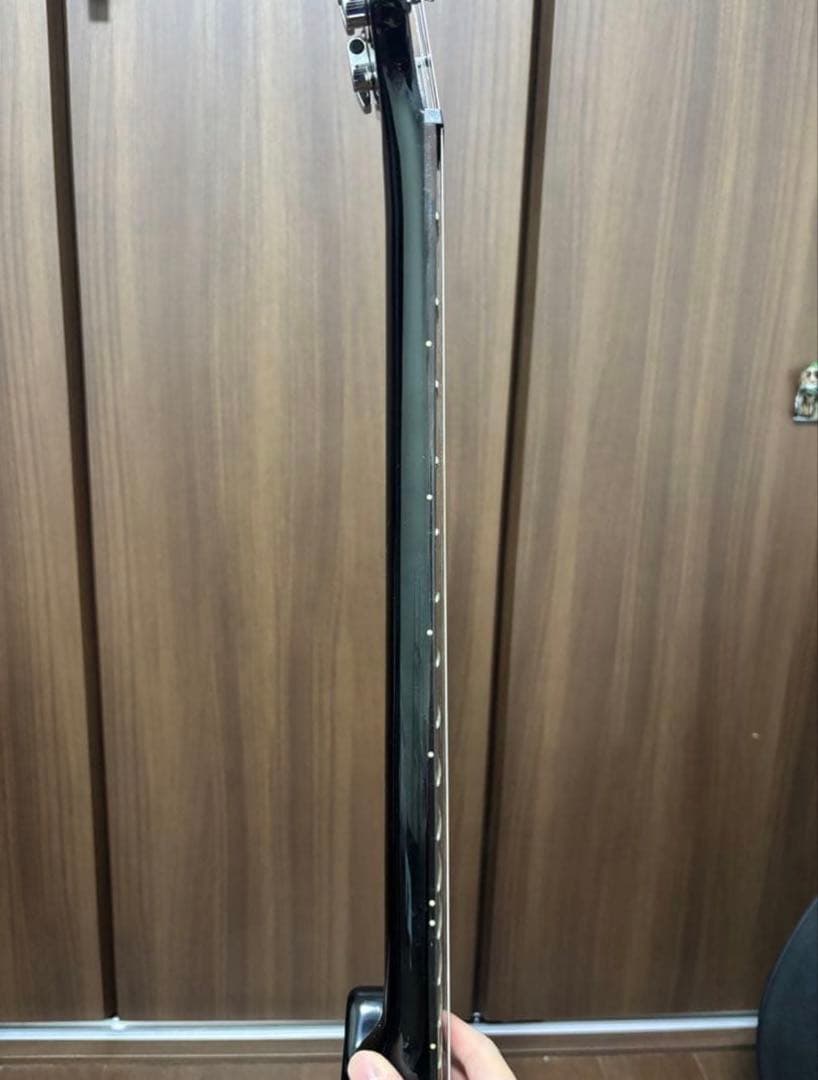 【akhiro4677さん専用】PRS SE Soapbar II