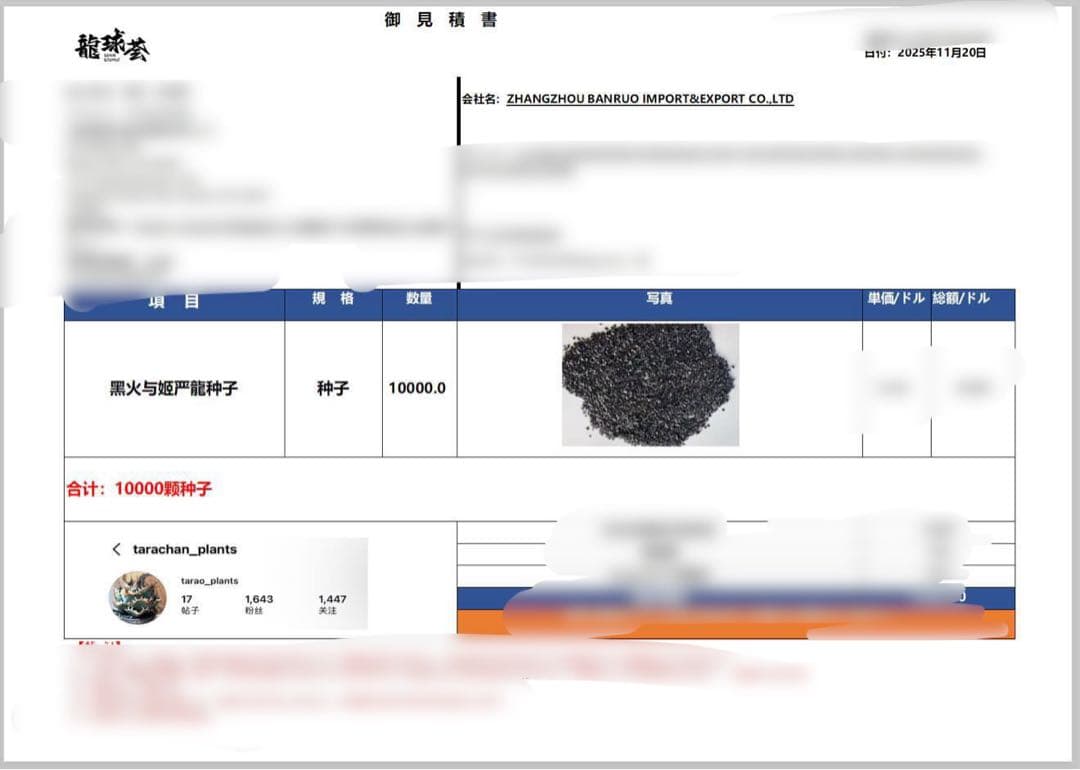 【数量限定】アガベ　オテロイ　種子　姫厳竜×黒火焔 30粒