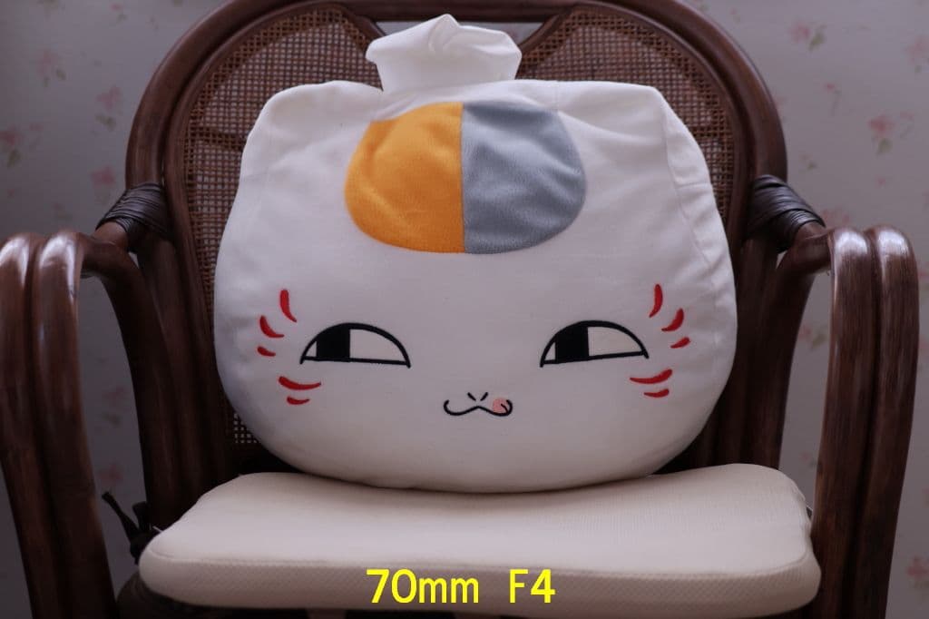 キヤノン EF70-300mm F4-5.6 IS II USM