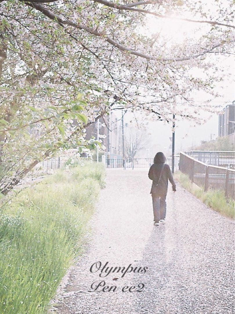 ★フィルム入門に！★オリンパスpen ee2 ★リザード本革グリーン★初期保証付