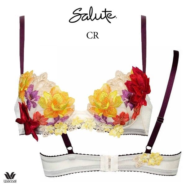 サルート30「ライオンキング」E75+ショーツLサイズ CR プッシュアップブラ