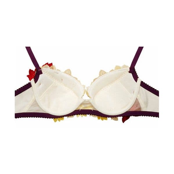 サルート30「ライオンキング」E75+ショーツLサイズ CR プッシュアップブラ