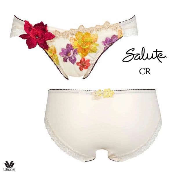 サルート30「ライオンキング」E75+ショーツLサイズ CR プッシュアップブラ