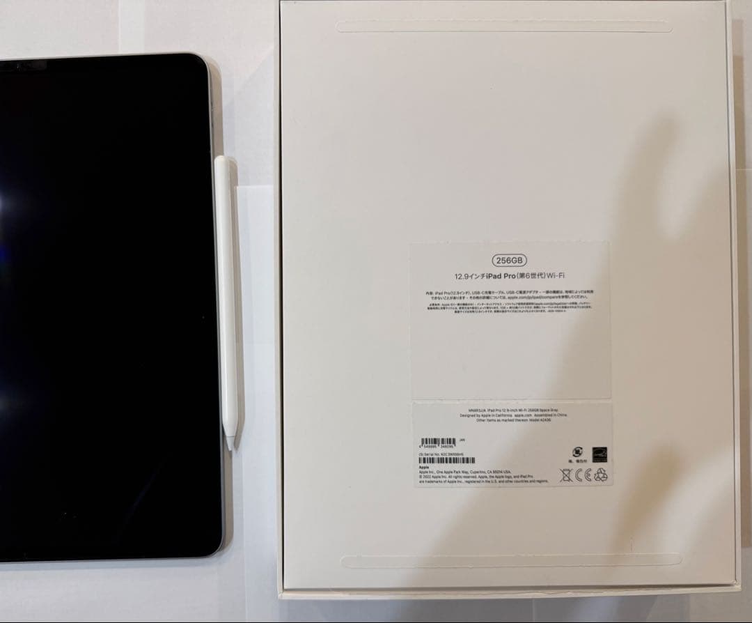 12.9 iPad Pro 256GB 6世代　Apple Pencil2付