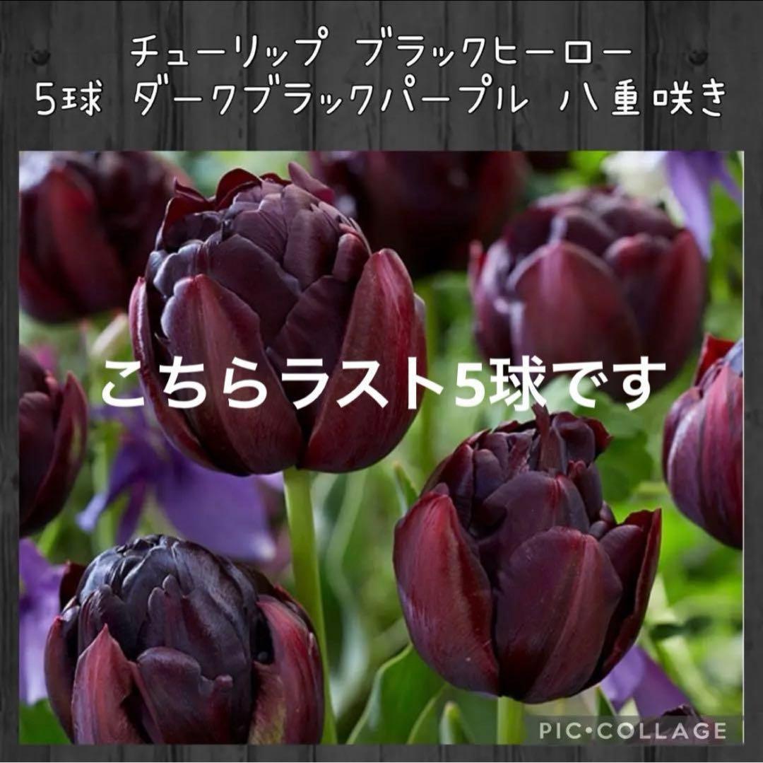 awe様 リクエスト 10点 まとめ商品