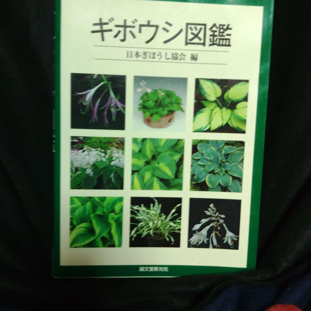 ギボウシ図鑑 日本ギボウシ協会編 誠文堂新光社