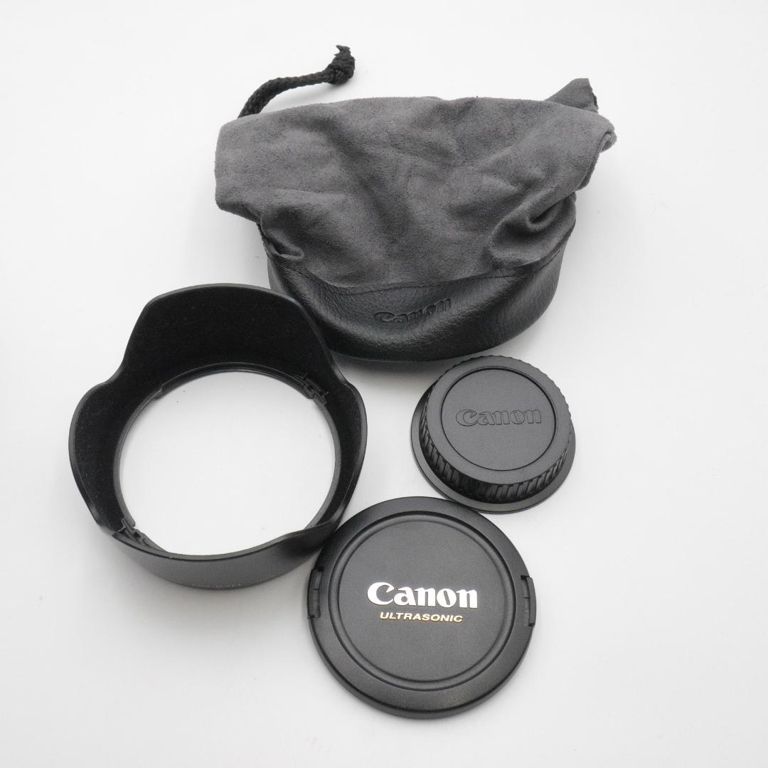 Canon EF 24-105mm F4 L IS USM キヤノン