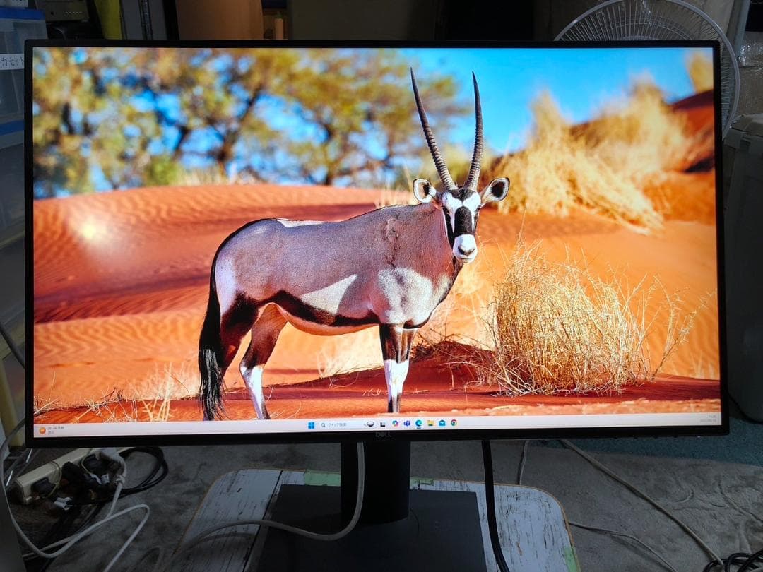 ♢620　DELL 4K USB-C モニター U2720Q