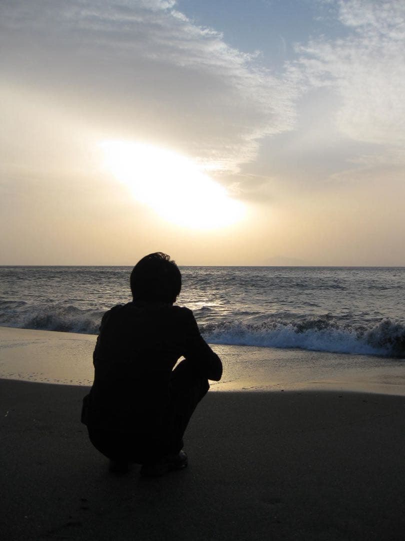 動作品　Canon PowerShot A1000 IS ※説明欄読んでください