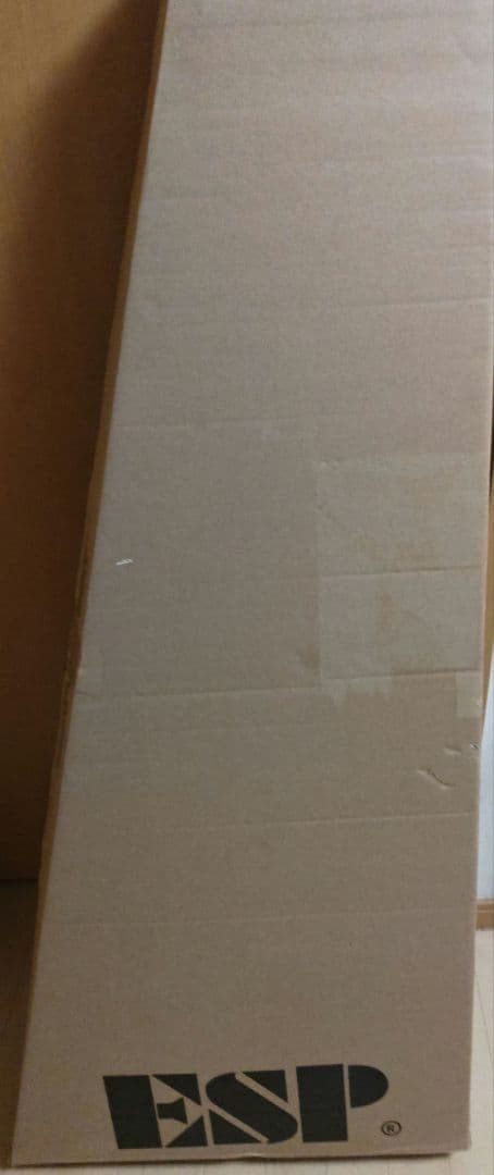 GB Soyo / MyGO!!!!! 長崎そよ ベース（新品、未使用）