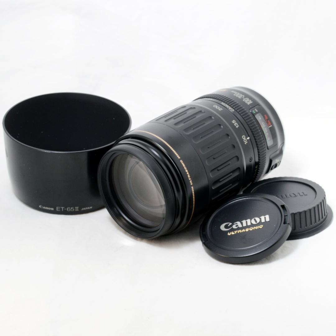 ⭐️美品⭐️Canon キャノン EF 100-300mm 4.5-5.6USM