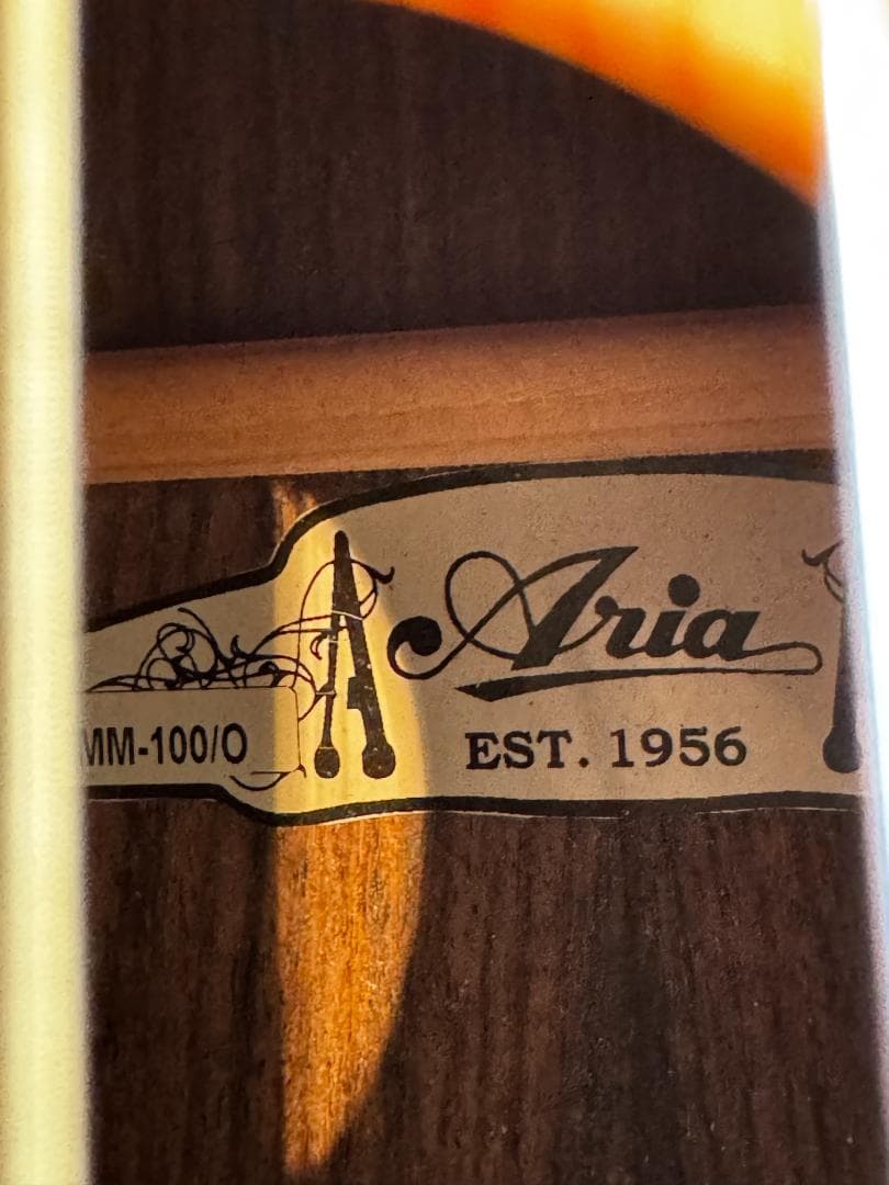 カ*イ様 ARIA MM-100/O マカフェリ