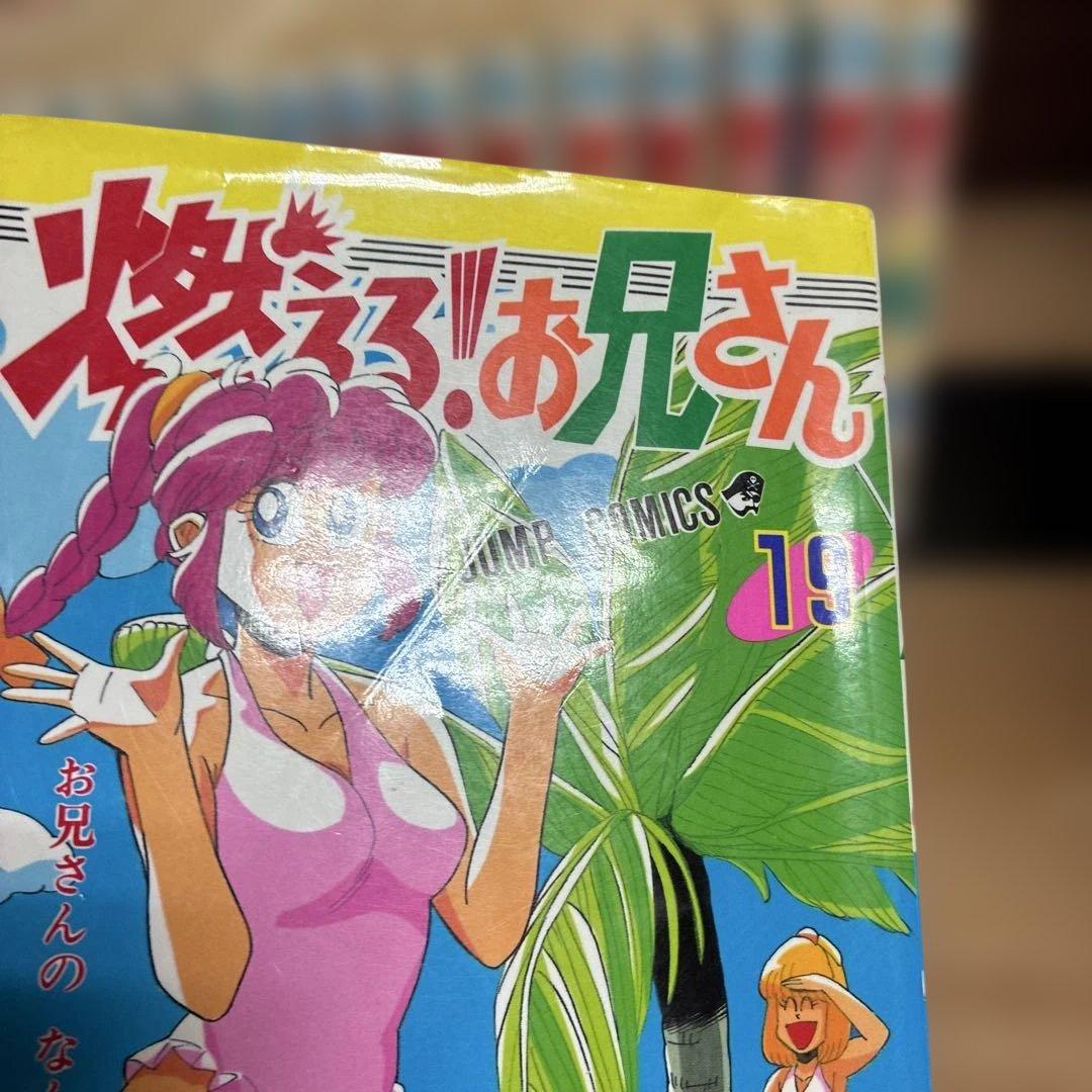 燃えるお兄さん　全19巻　全巻　燃える！お兄さん