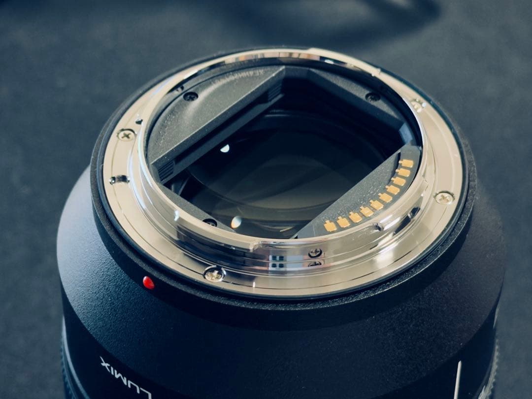 LUMIX S 24-105mm F4 MACRO O.I.S. レンズ