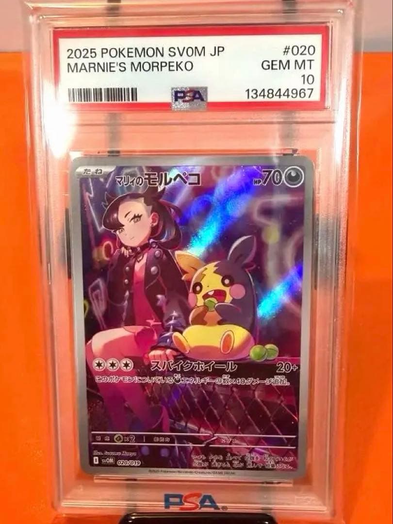 Psa10マリィのモルペコ SVOM スターターセットex マリィのモルペコ