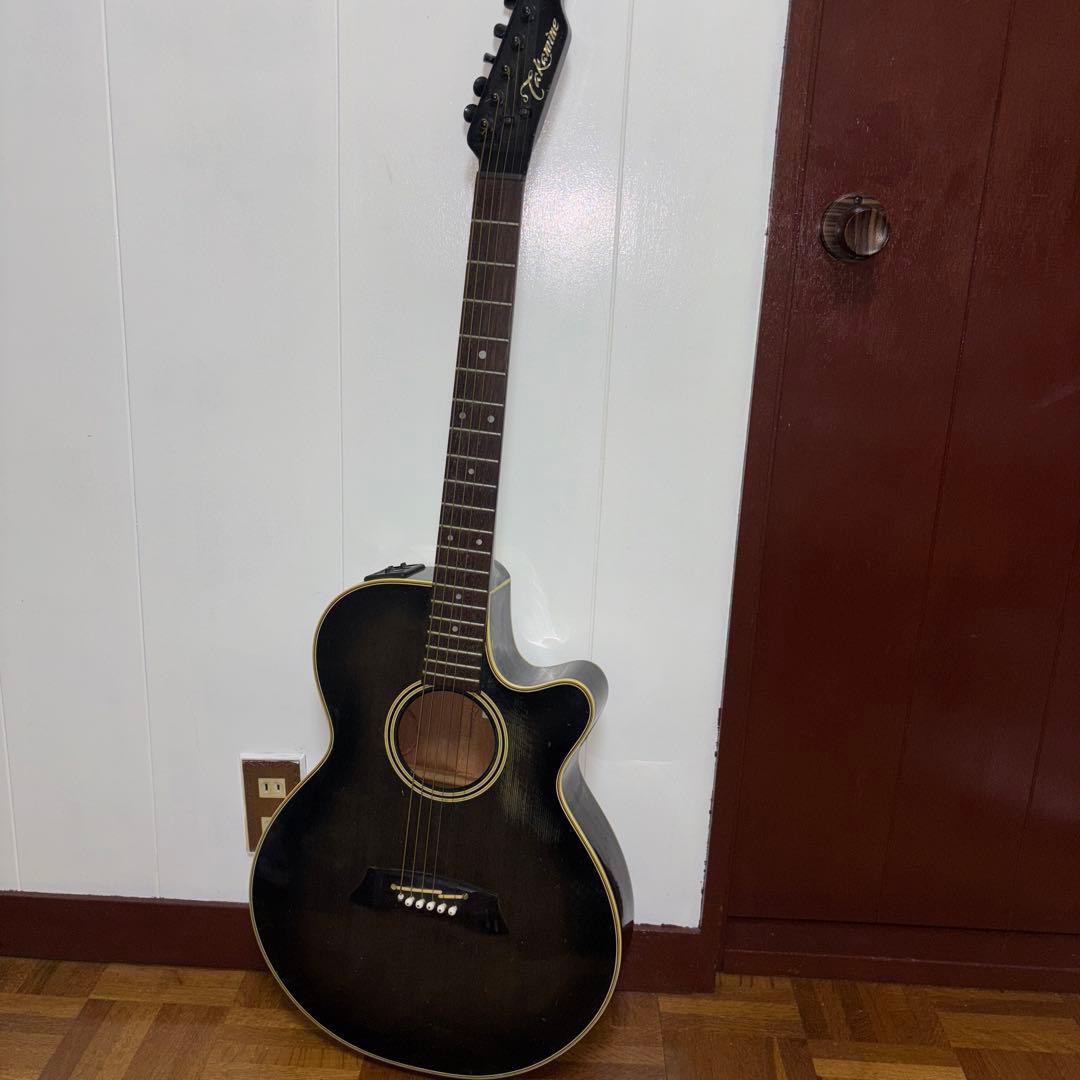 タカミネ　エレアコ