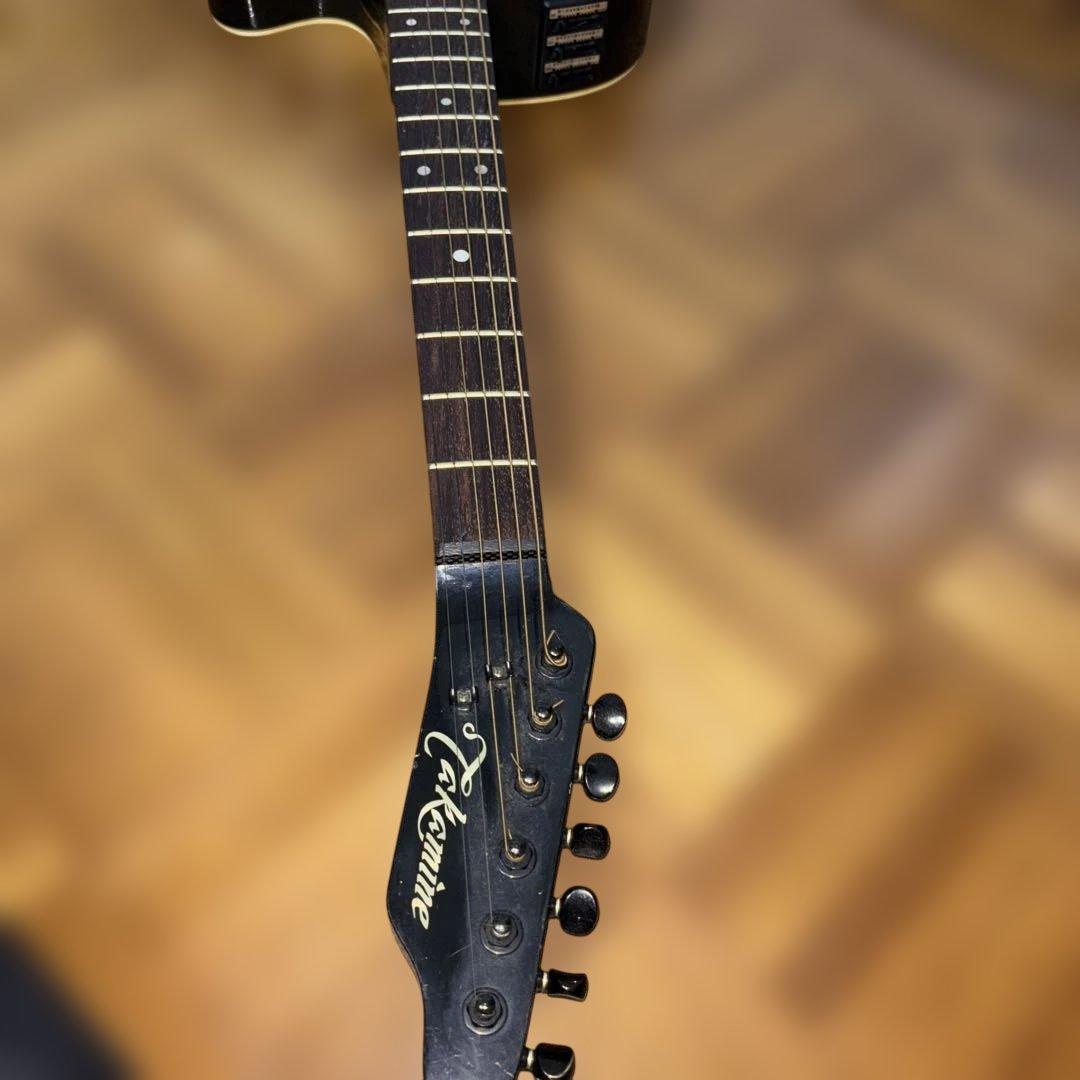 タカミネ　エレアコ