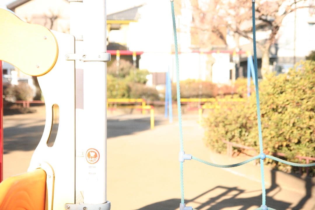 レンズ(ズーム) TAMRON XR Di II 17-50mm F/2.8_CANON EF