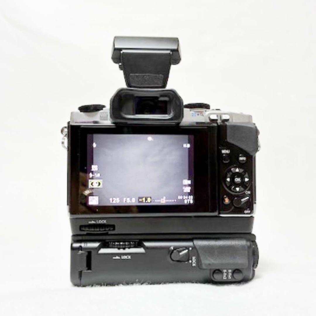 オリンパスOM-D E-M5