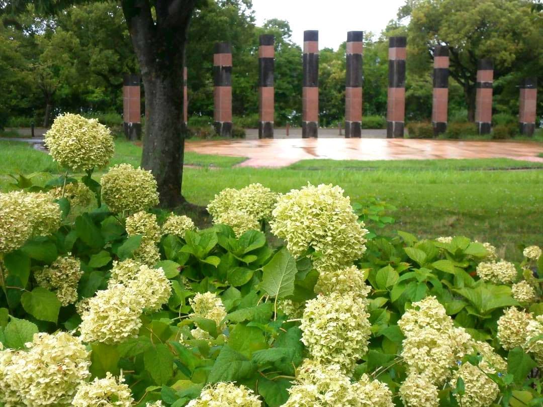 OLYMPUS VG-170 コンパクトカメラ