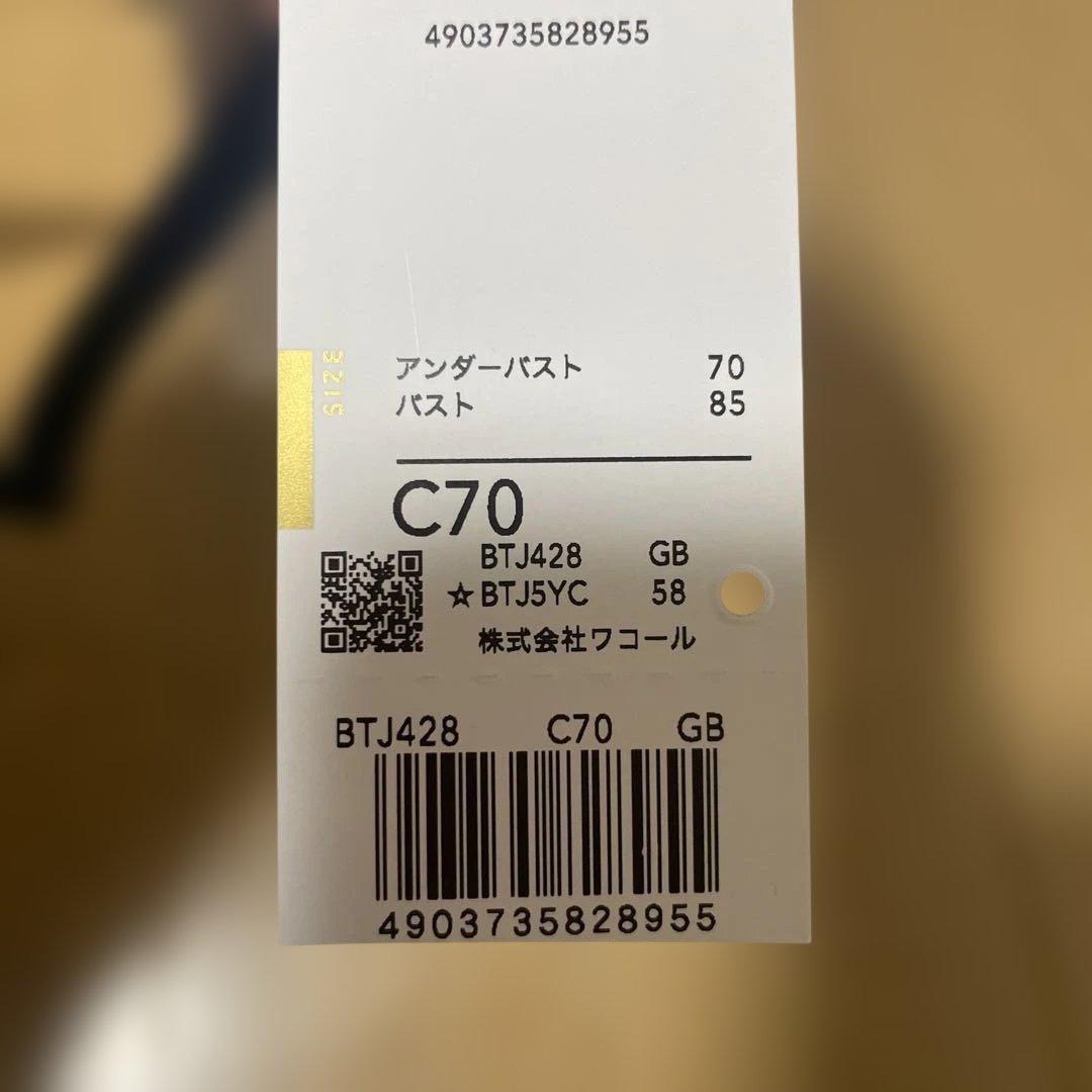 限定商品新作salute 新品未使用タグ付き 28グループ　ブラショーツセット紺