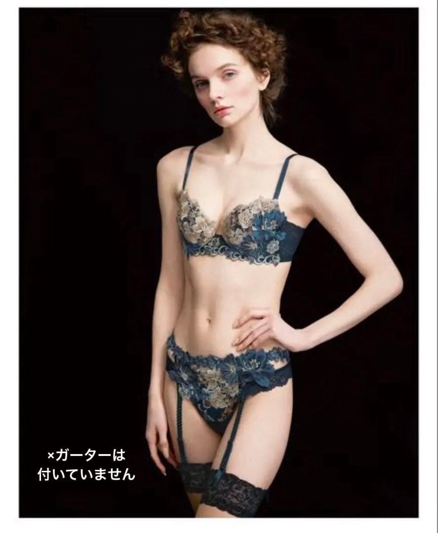 限定商品新作salute 新品未使用タグ付き 28グループ　ブラショーツセット紺