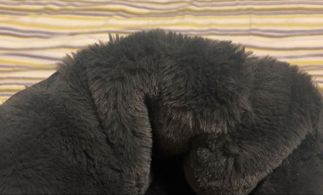 SAVE THE DUCK/セイブザダック HOODED&ZIP SHORT