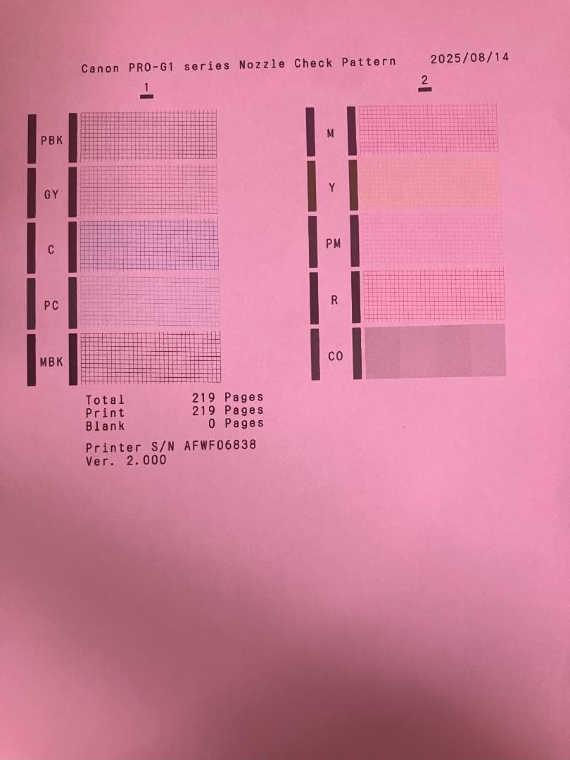 土日祝限定割引☆ Canon 10色 プリンター PRO-G1 外箱有 キヤノン