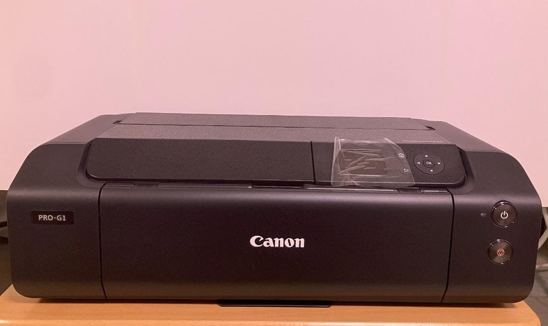 土日祝限定割引☆ Canon 10色 プリンター PRO-G1 外箱有 キヤノン