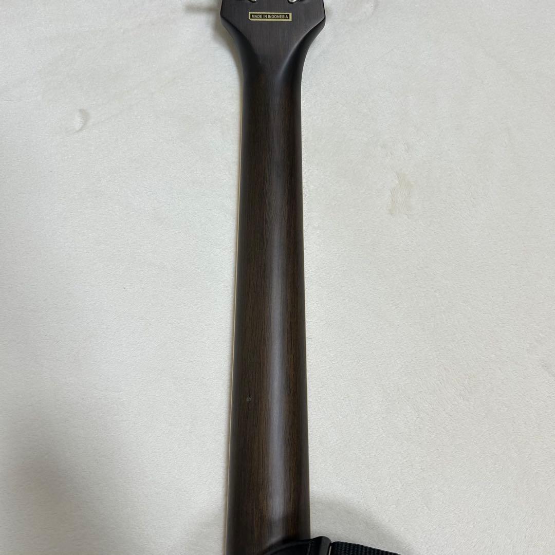 Epiphone エピフォン アコースティックギター AJ-220/N