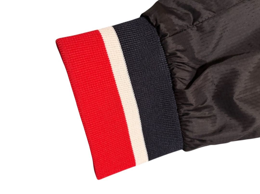 【希少】Mercedes PETRONAS AMG 2019