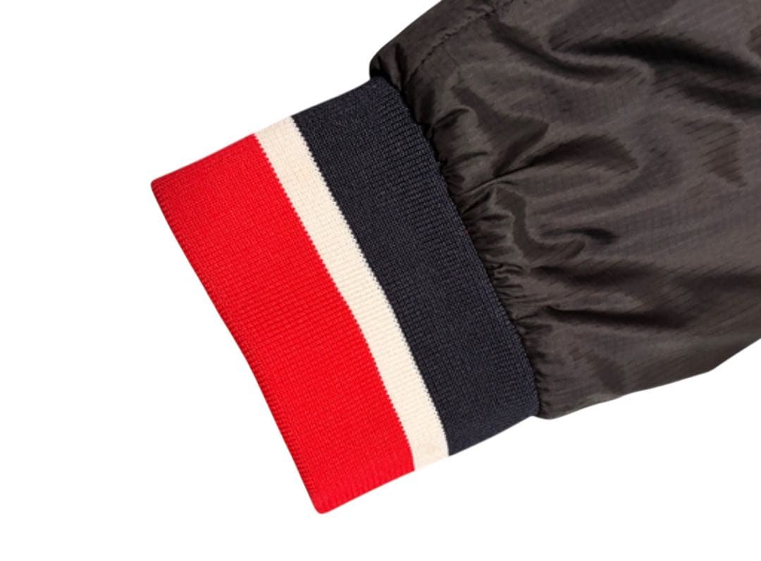 【希少】Mercedes PETRONAS AMG 2019