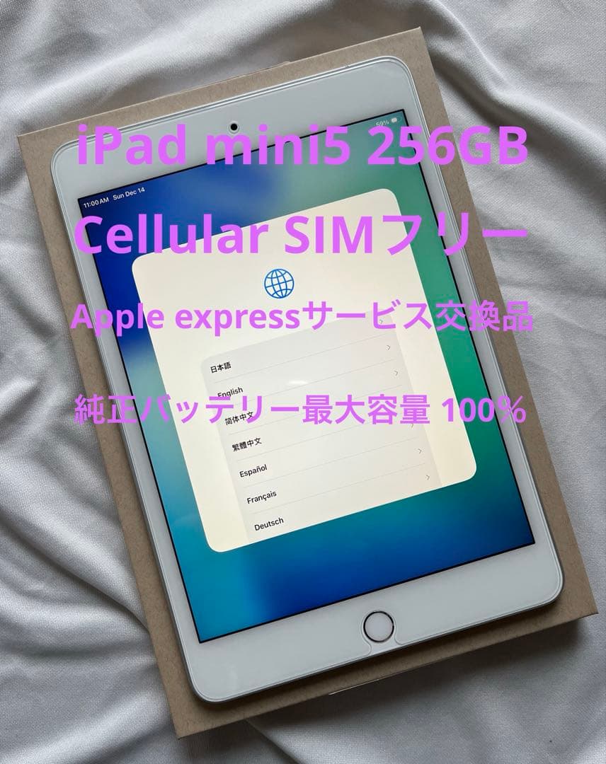 ほぼ未使用 ￼iPad mini5 セルラー 256GB 純正バッテリ100％