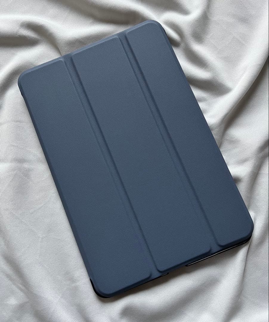 ほぼ未使用 ￼iPad mini5 セルラー 256GB 純正バッテリ100％