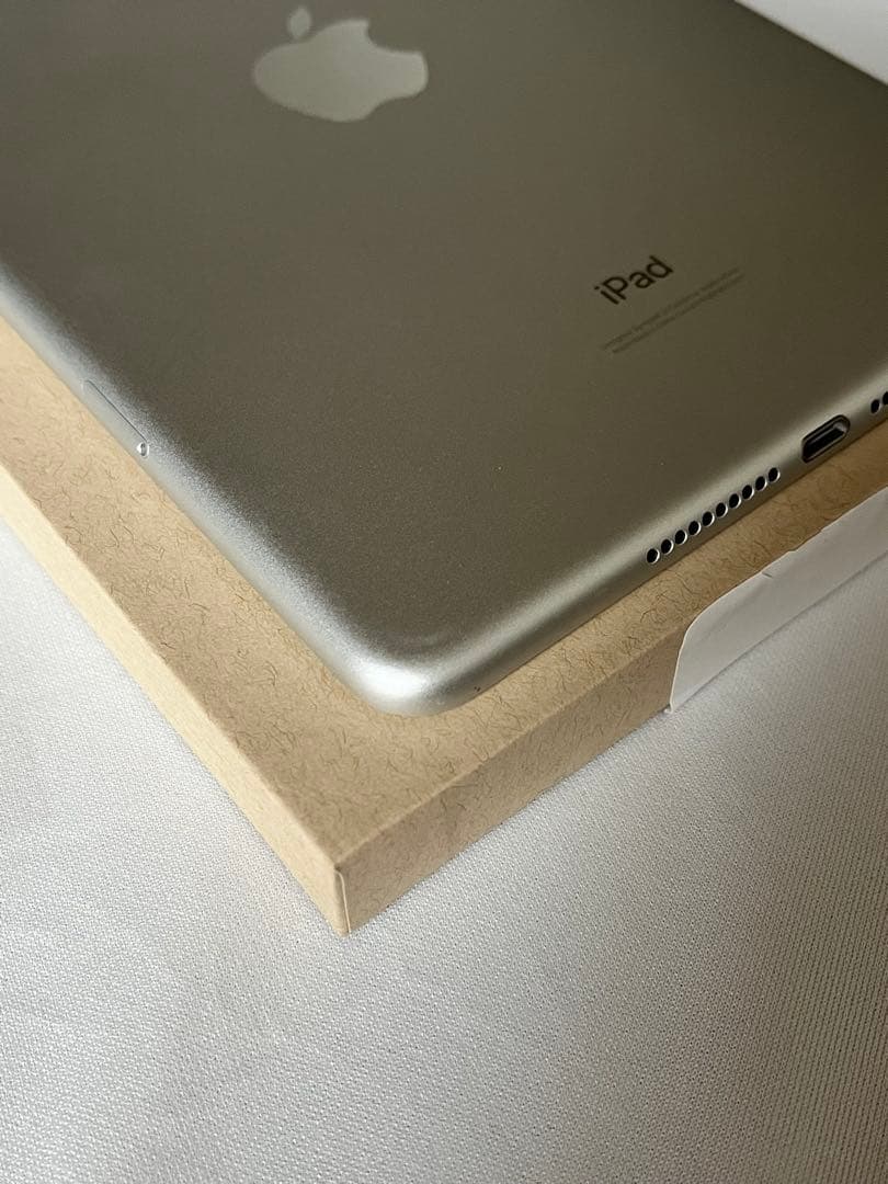 ほぼ未使用 ￼iPad mini5 セルラー 256GB 純正バッテリ100％