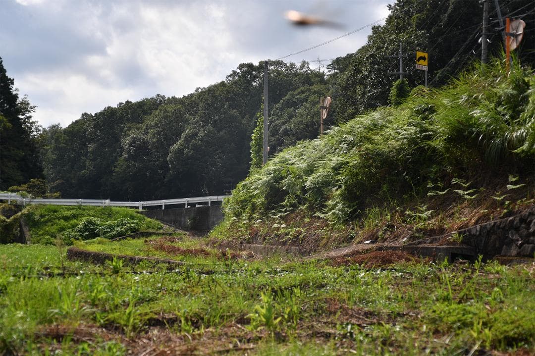 CONTAX Carl Zeiss Planar T* 50mm F1.7 美品