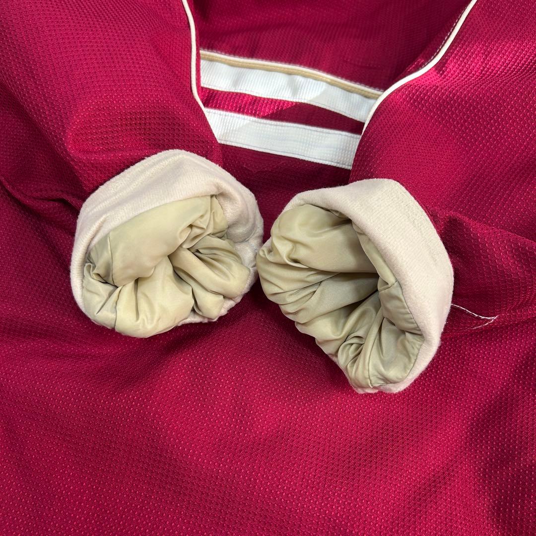 A803【未使用級】エレッセ スキーウェア 上下セット レディースL 花柄刺繍